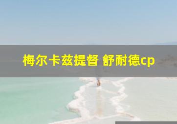 梅尔卡兹提督 舒耐德cp